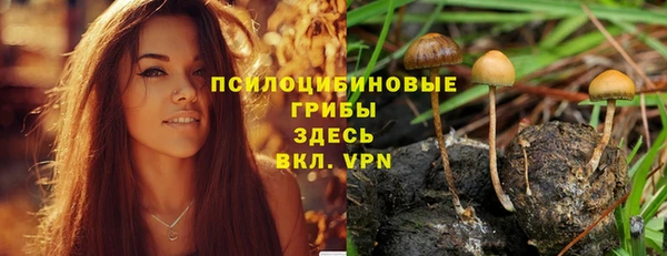 мяу мяу мука Богданович