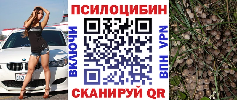 ссылка на мегу как войти  Чишмы  Псилоцибиновые грибы MAGIC MUSHROOMS 